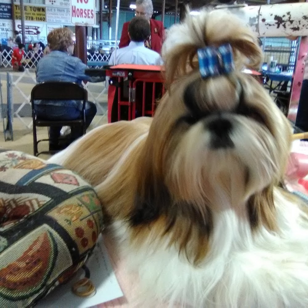 Meet your Posher, Abby